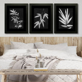 Set of 3, Black & White Leaves Collage Wall Art Frames - BF05