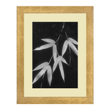 Set of 3, Black & White Leaves Collage Wall Art Frames - BF05