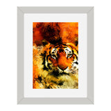 Set of 2, Wild Life Collage Wall Art Frames - BF115