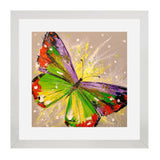 Set of 2, Vibrant Butterflies Collage Wall Art Frames - BF124