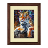 Set of 2, Resting Tiger Collage Wall Art Frames - BF188