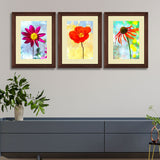 Set of 3, Vibrant Floral Collage Wall Art Frames - BF89