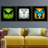 Set of 3, Vibrant Butterflies Collage Wall Art Frames - BF105
