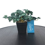 Planter for Table Decor - GD440