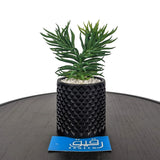 Planter with Ceramic Pot for Table Decor - GD650