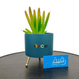 Planter with Metal Stand for Table Decor - GD487