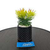 Planter with Ceramic Pot for Table Decor - GD651