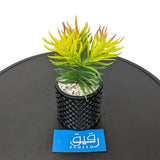 Planter with Ceramic Pot for Table Decor - GD651