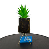 Planter with Black Ceramic Pot on Metal Stand for Table Decor - GD681